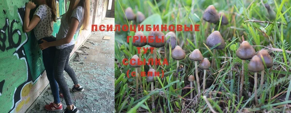 дистиллят марихуана Белокуриха
